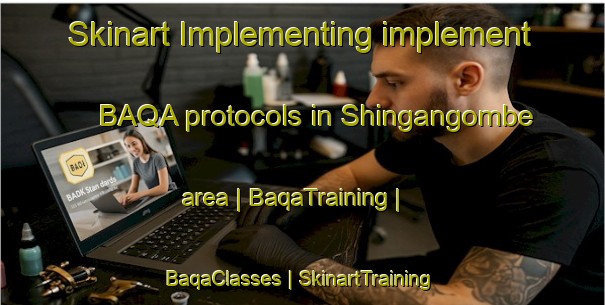 Skinart Implementing implement BAQA protocols in Shingangombe area | BaqaTraining | BaqaClasses | SkinartTraining-the Democratic Republic of the Congo